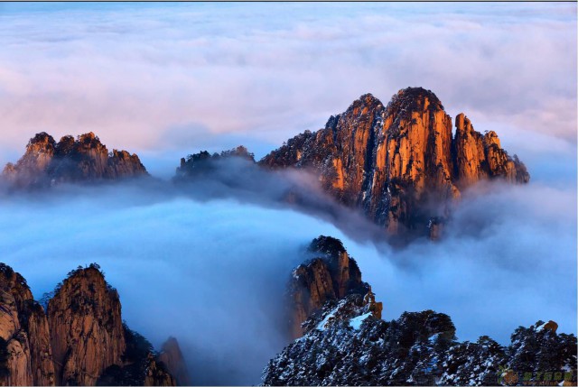 补缴个人所得税完税证明