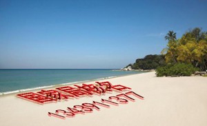 专业解决国家工商总局疑难核名