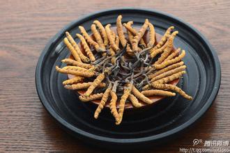 回收海参高价回收海参回收冬虫夏草