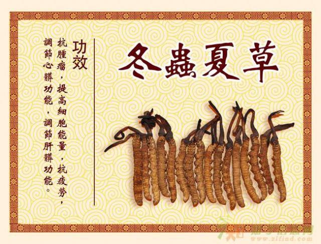 全国上门回收冬虫夏草13391773392大量回收东阿阿胶