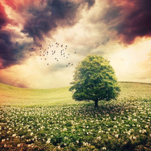 大力发展全域旅游开始啦转让两年旅行社