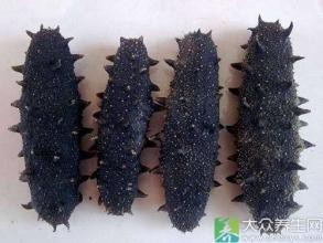 高价收购东阿阿胶大量收购东阿阿胶