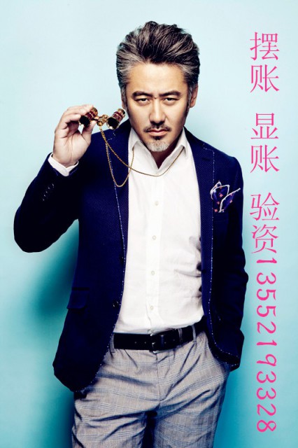 工商注册 摆账 验资 显账 提供地址