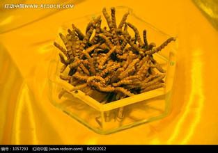 丰台七里庄回收冬虫夏草13439830111收购燕窝海参