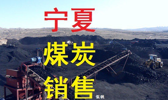 本公司常年销售宁夏优质无烟煤