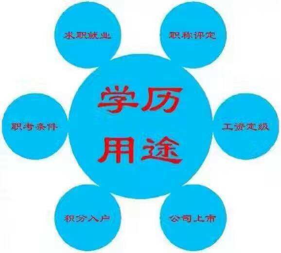 河南科技大学自考本科会计专业 一年毕业考试少