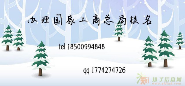 想办理总局核名怎么办