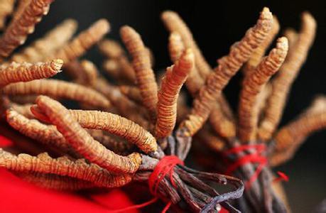 收购东阿阿胶高价回收东阿阿胶