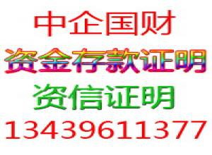 代理资金资信证明