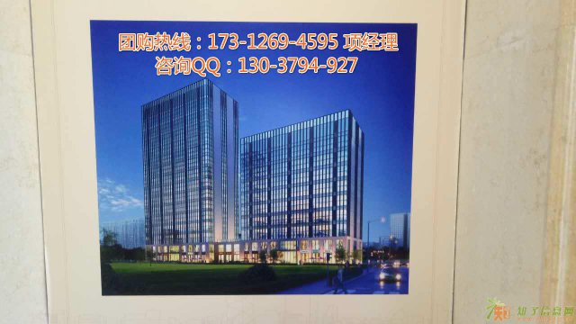 嘉兴禾峰传奇市中心LOFT公寓买一层送一层