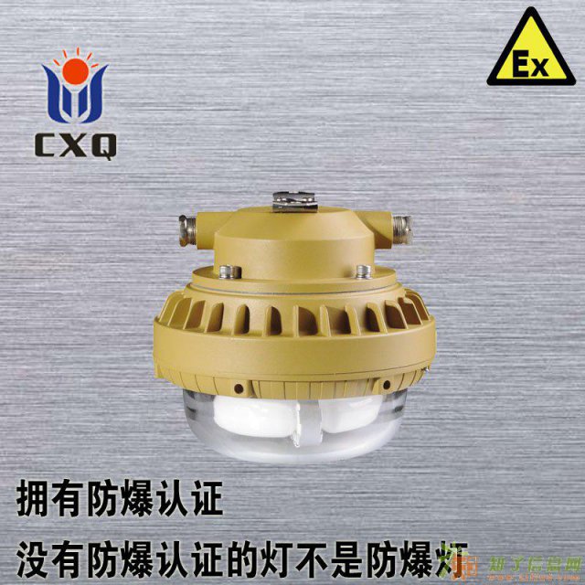 FGA1101-QL40免维护节能防爆灯