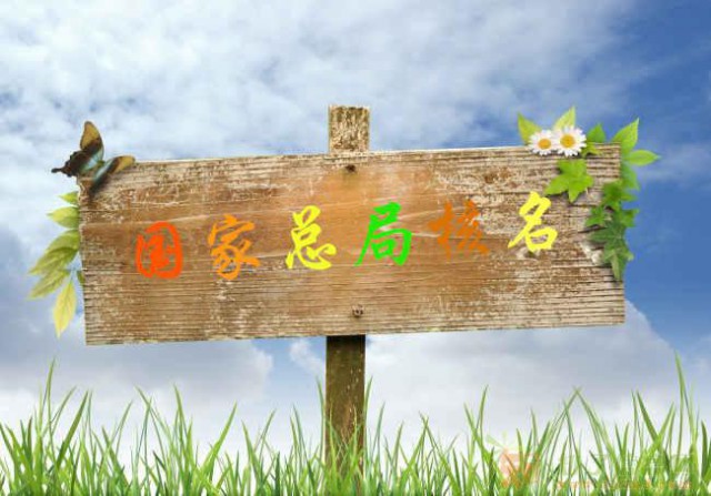 总局核名疑难名称核准