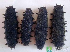 高价回收东阿阿胶高价回收东阿阿胶