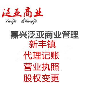 嘉兴南湖区新丰镇代理记账股权变更代办公司营业执照