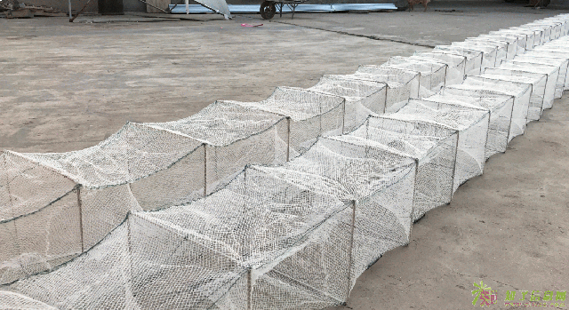 地笼网无结网地笼生产虾笼泥鳅笼子渔网地笼批发