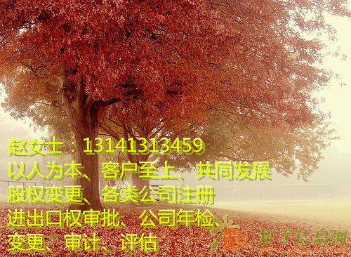 全国性保险代理转让保险代理办理延期