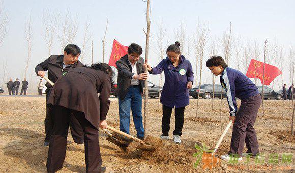 春季踏青一日活动（植树＋采摘）