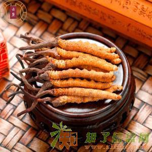 回收福胶回收冬虫夏草回收极草含片回收鱼肚