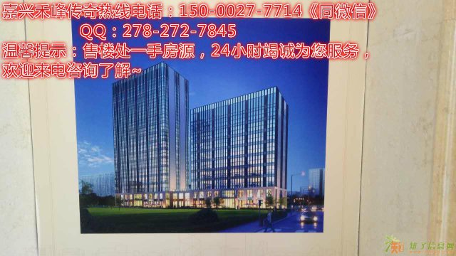 嘉兴禾峰·传奇买一层送一层 续写传奇