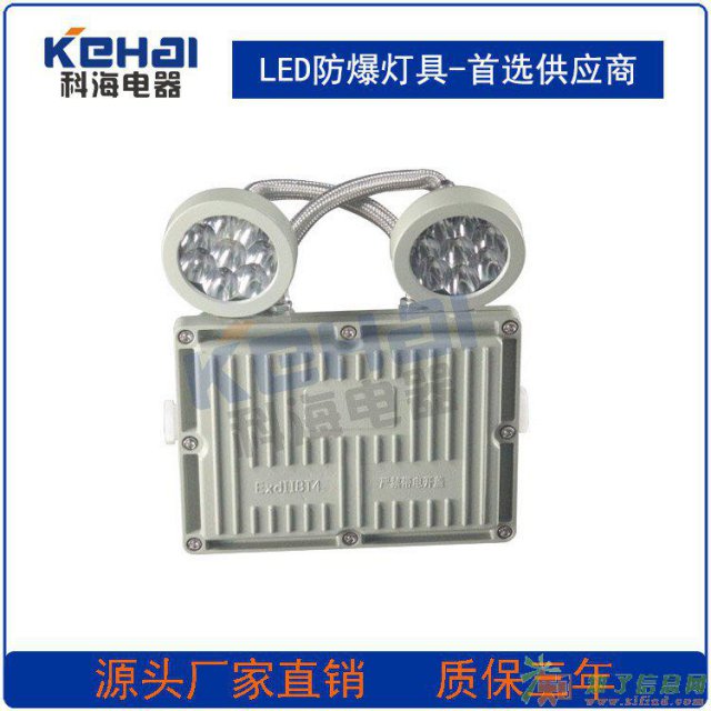 厂家直销BAJ52防爆双头应急灯 专业防爆品质