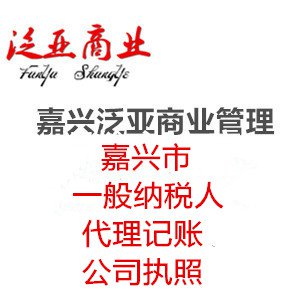 嘉兴市区代办一般纳税人+代理记账+公司执照注册