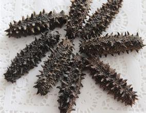 回收海参高价回收海参高价回收冬虫夏草