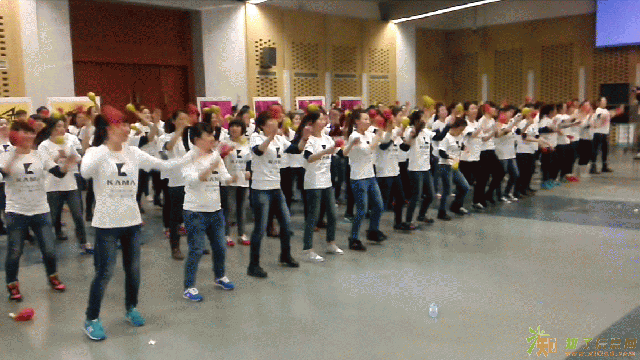 高效团队之完美乐章