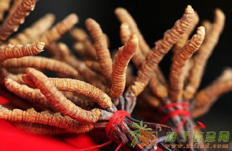 回收海参高价回收东阿阿胶高价回收海参