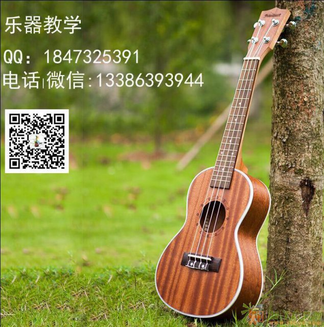 尤克里里好不好学