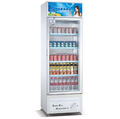 玻璃门冷饮柜 立式饮料冷藏柜 冷藏展示柜