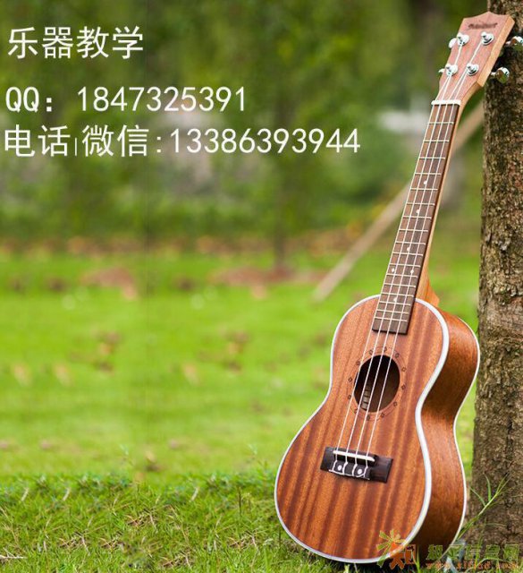 尤克里里上门家教