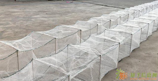 地笼介绍地笼资料优质地笼批发地笼使用技巧虾笼泥鳅笼