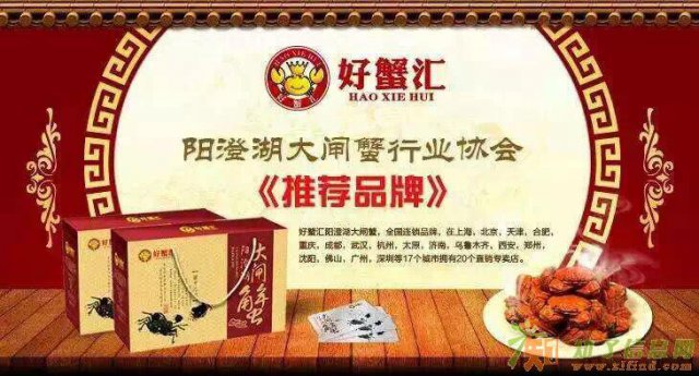 上海好蟹汇-阳澄湖大闸蟹礼券火爆订购中