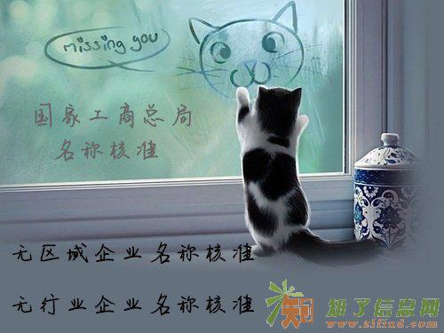 无行业国家局核名称