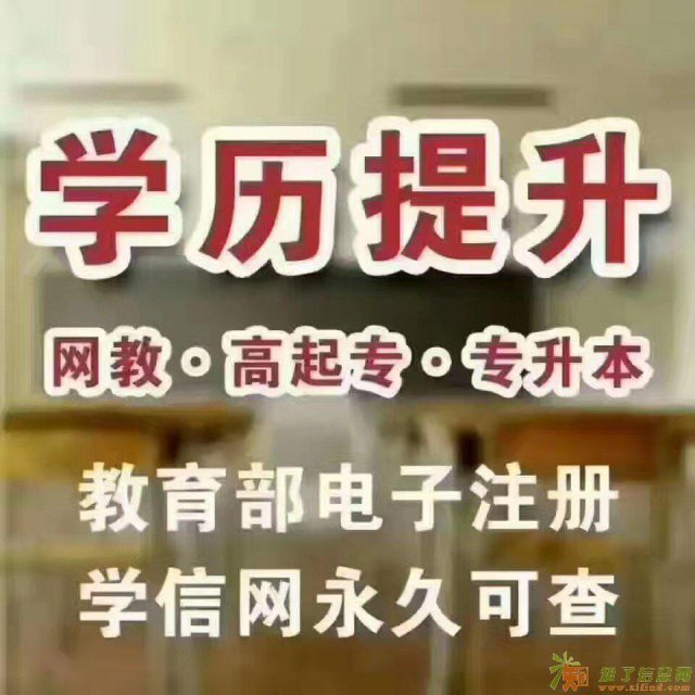 预报名火热招生中