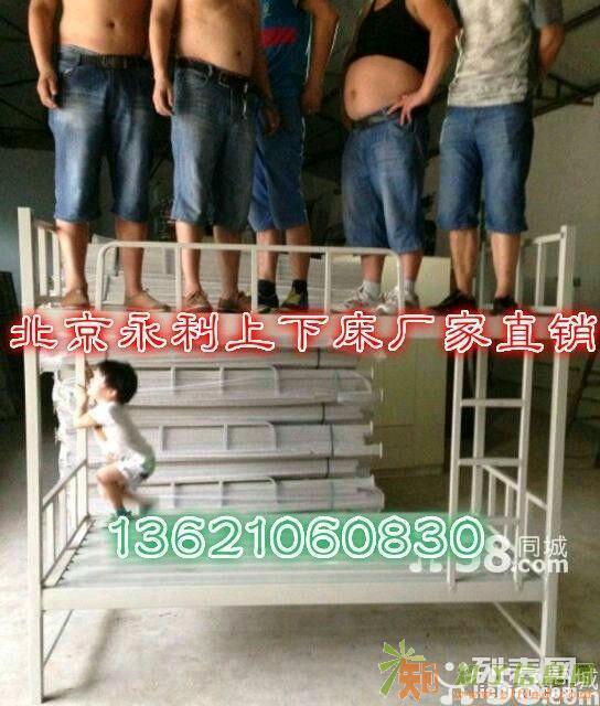 学生上下床租赁折叠椅租赁