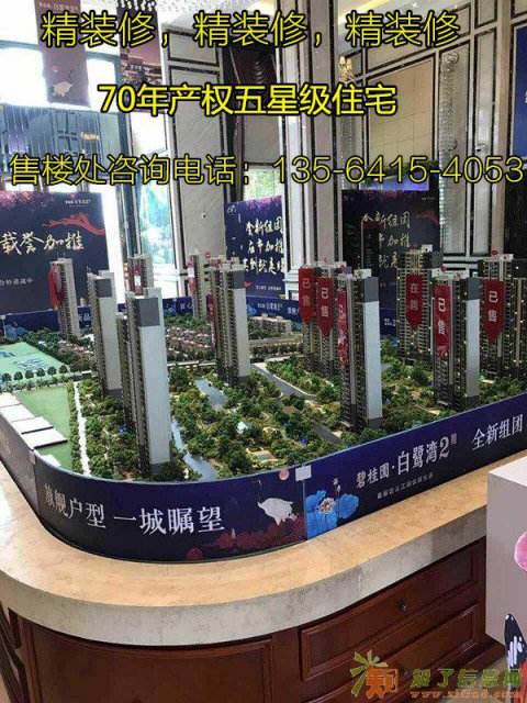 碧桂园白鹭湾、高层精装修标准大概每平方多少？