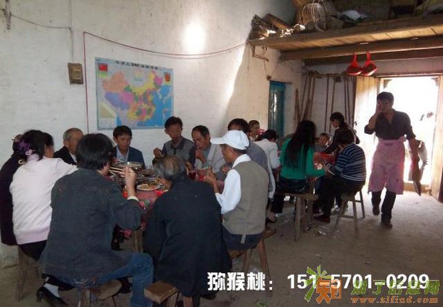 猕猴桃种植农户的心声，这里把我的故事告诉大家！