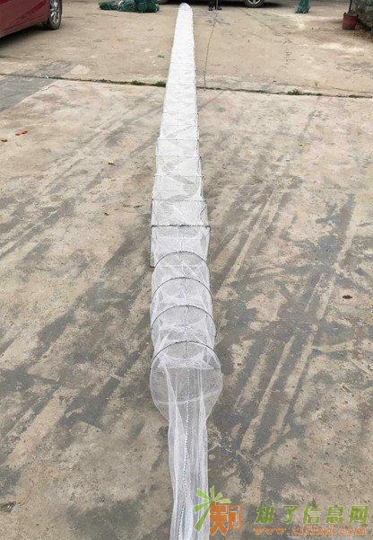 湖南地笼渔网白色无结网地笼龙虾笼泥鳅笼龙虾养殖地笼
