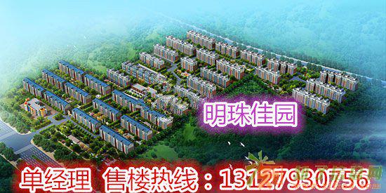 新房出售明珠佳园繁华地段稀有好房