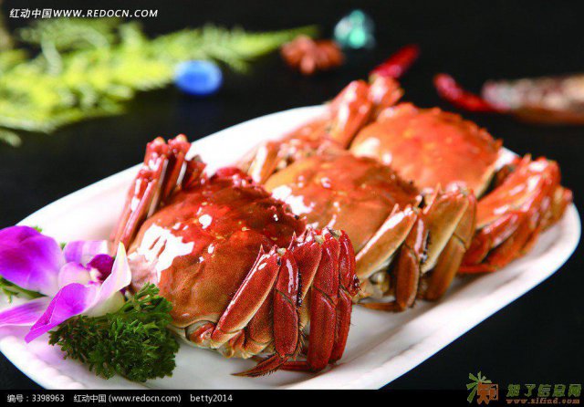 人间美味阳澄湖大闸蟹，蟹肥膏美勾勒你的心