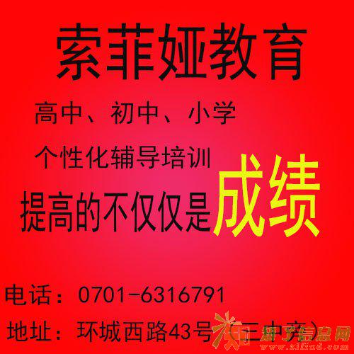 索菲娅教育暑假中小学辅导