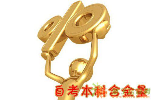 新疆教师编制报考简章学历有要求么