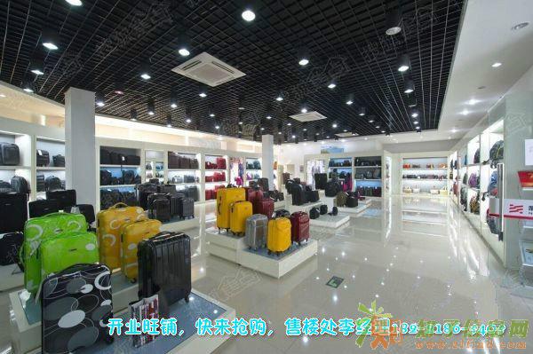 平湖国际箱包城现在运营了吗？什么情况？