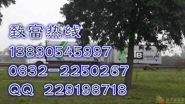 出国无风险正规公司