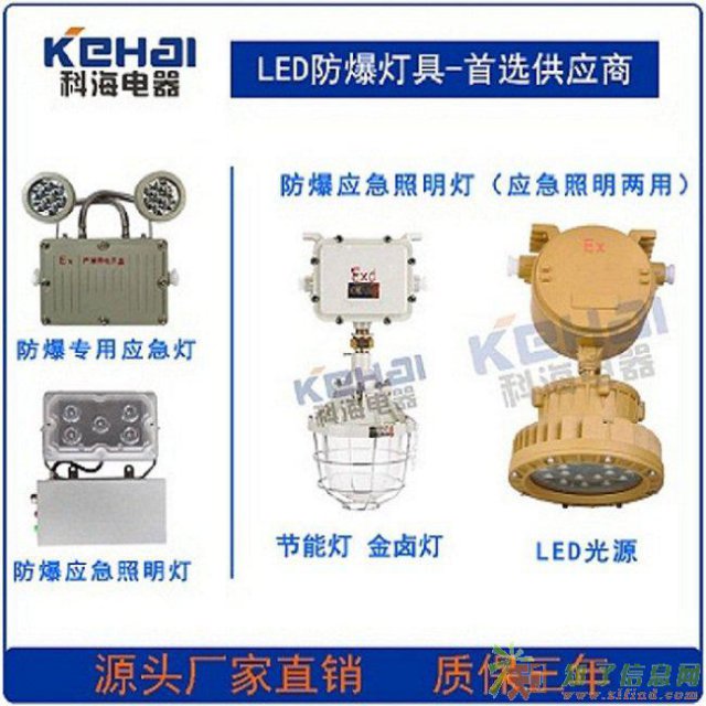 厂家直销BAJ52防爆应急灯双头防爆应急灯图片