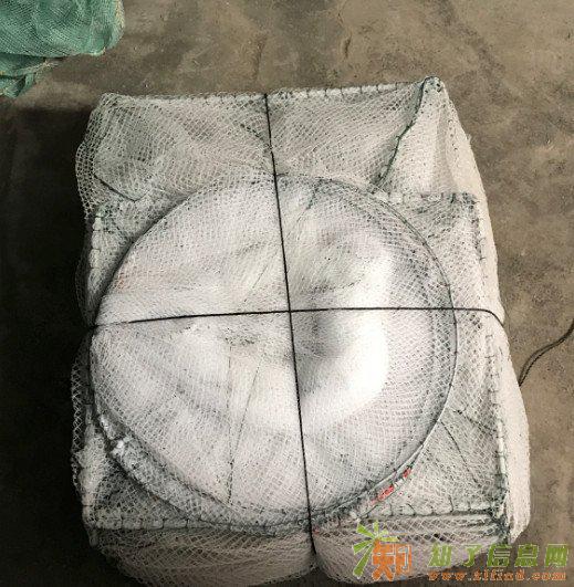 湖北武汉地笼渔网白色有结网地笼虾笼泥鳅笼地笼加工