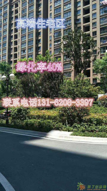 南通海安如意家园售楼处低价是多少