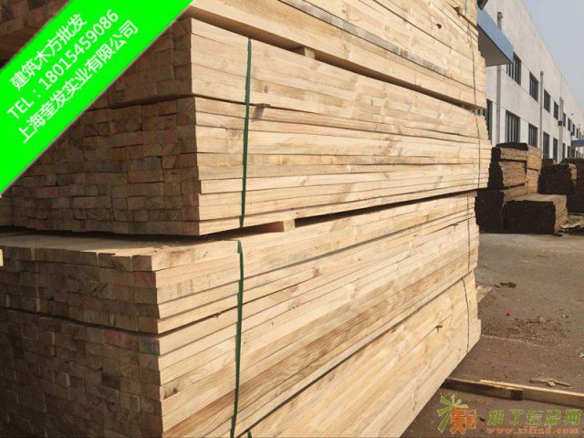 方木木方辐射松花旗松落叶松南洋松铁杉