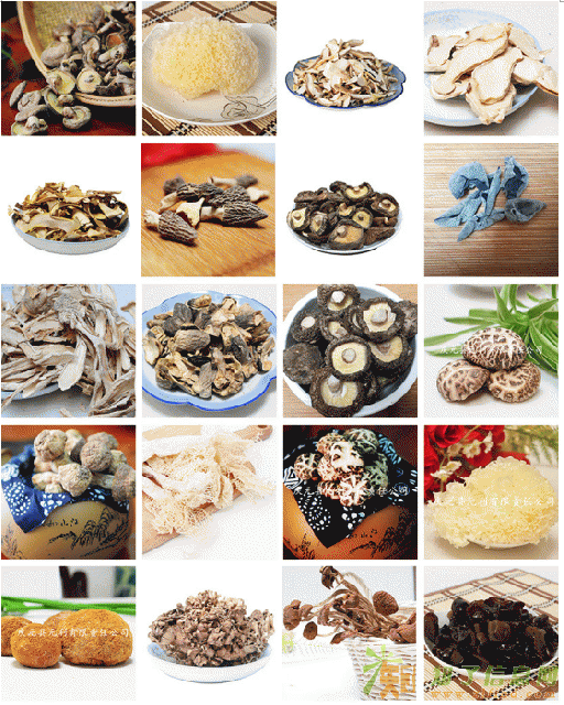 o厂家直销纹香肉厚香菇干货罐头食品无根原木菌床香菇